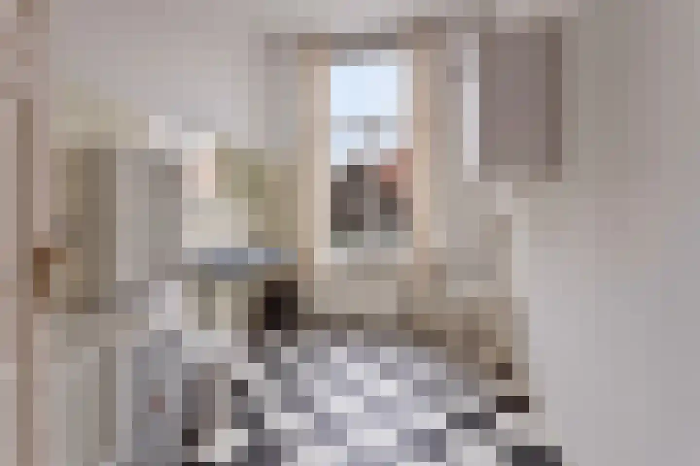 Nassaulaan 32 Alkmaar thumbnail 39