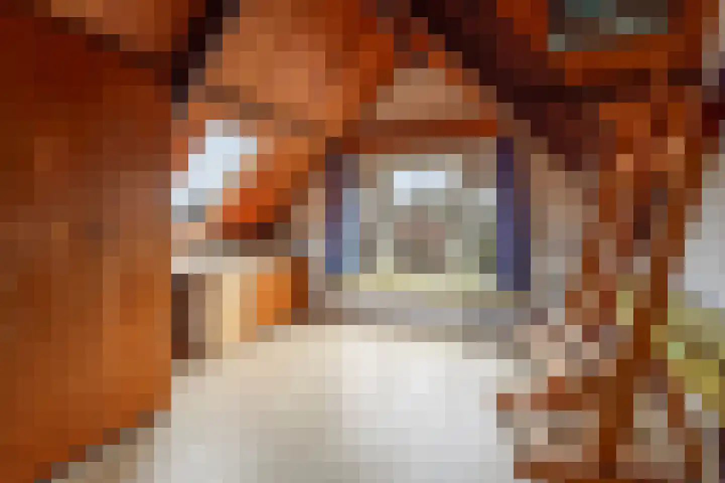 Nassaulaan 32 Alkmaar thumbnail 42