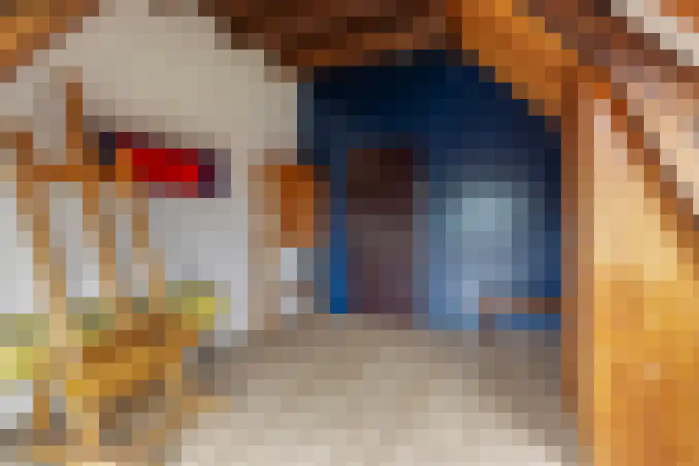 Nassaulaan 32 Alkmaar thumbnail 43