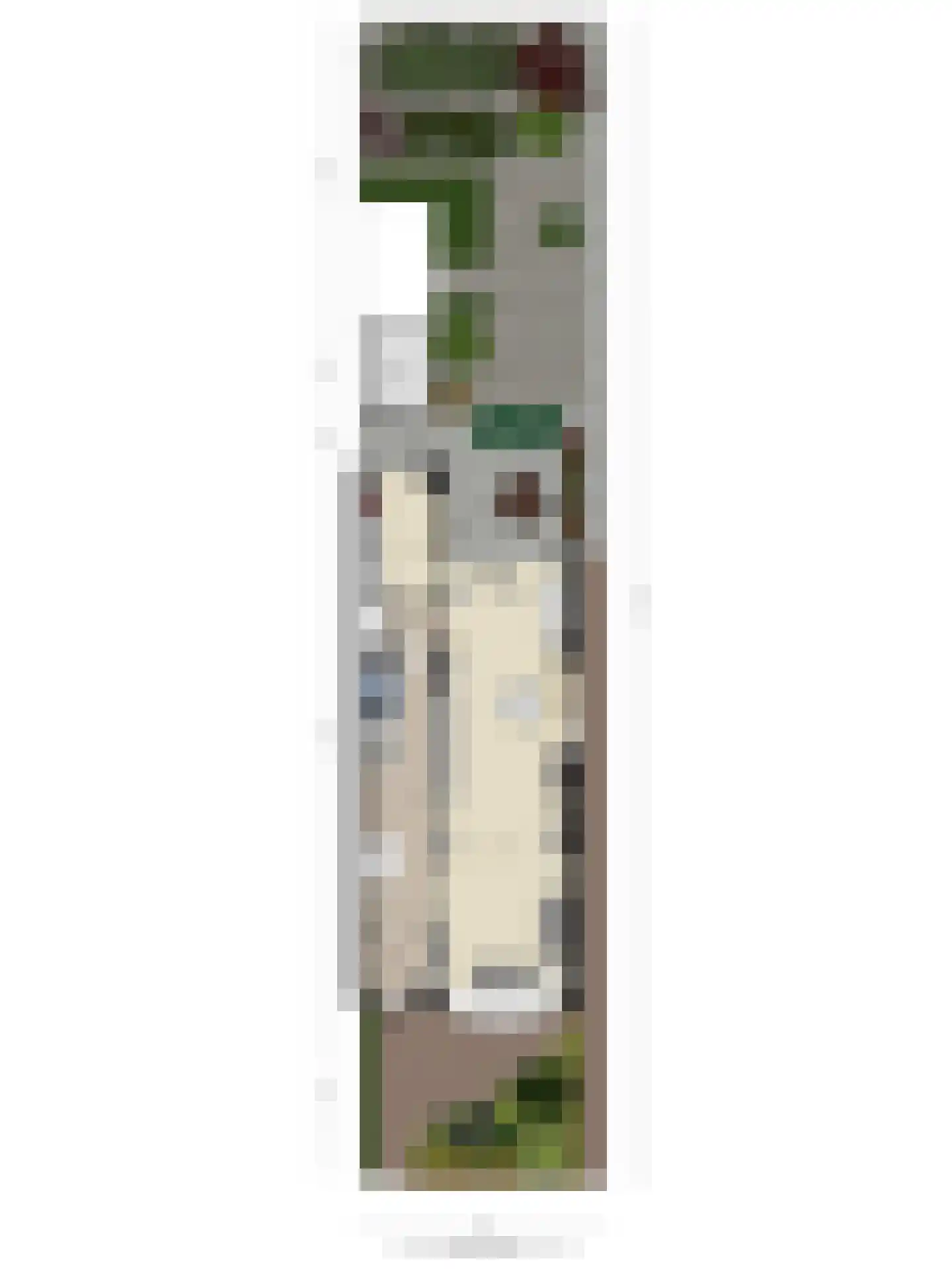 Nassaulaan 32 Alkmaar thumbnail 55