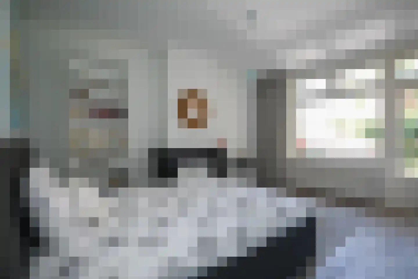 Nassaulaan 33 Hilversum thumbnail 28