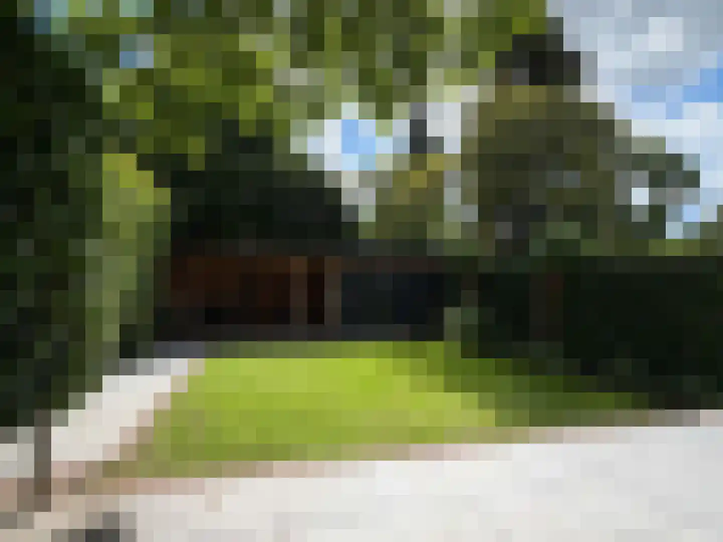 Nassaulaan 33 Hilversum thumbnail 39