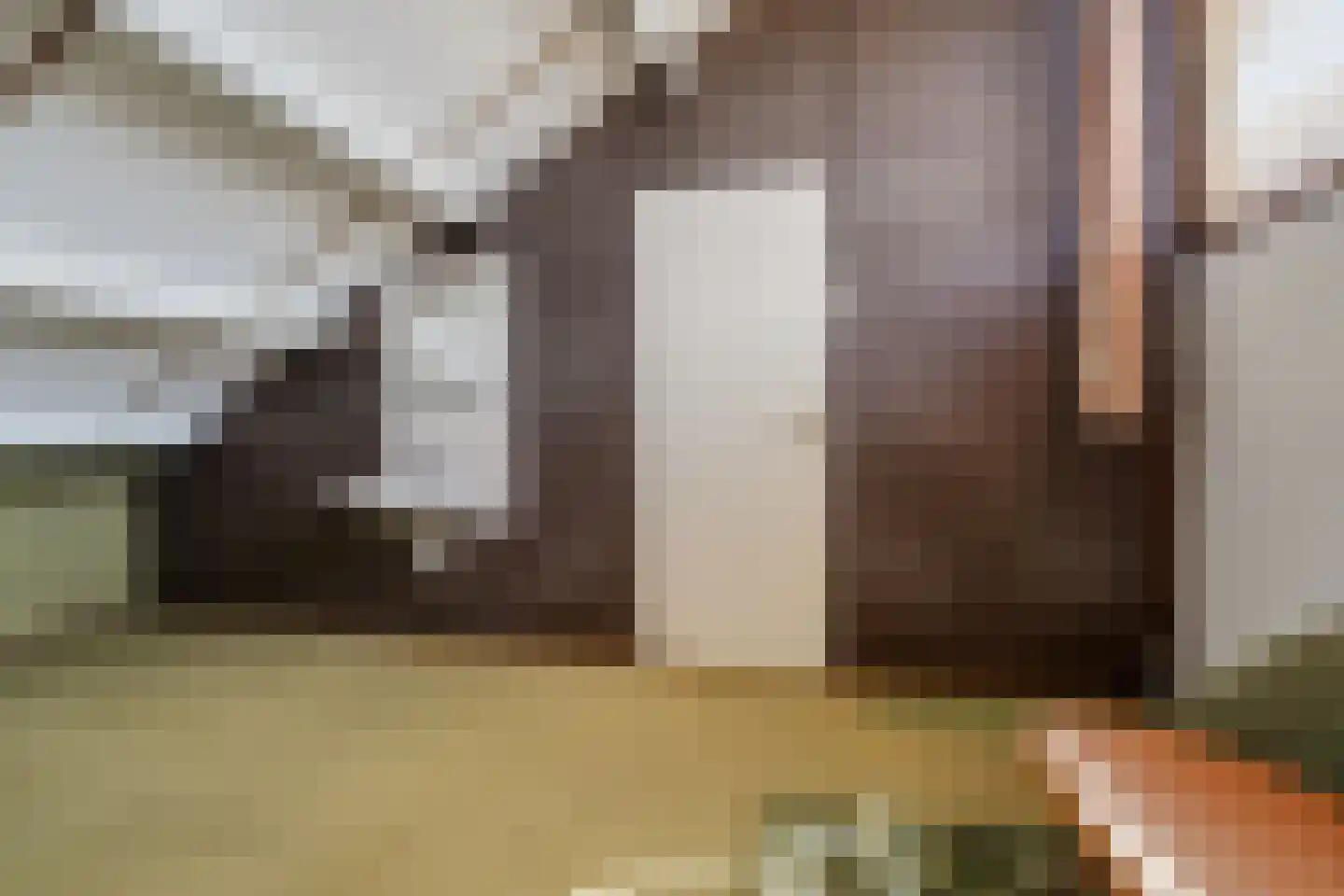 Nassaulaan 33 Rijnsburg thumbnail 30