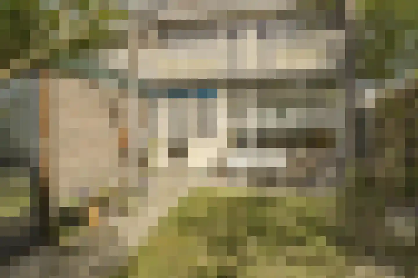 Nassaulaan 33 Rijnsburg thumbnail 32