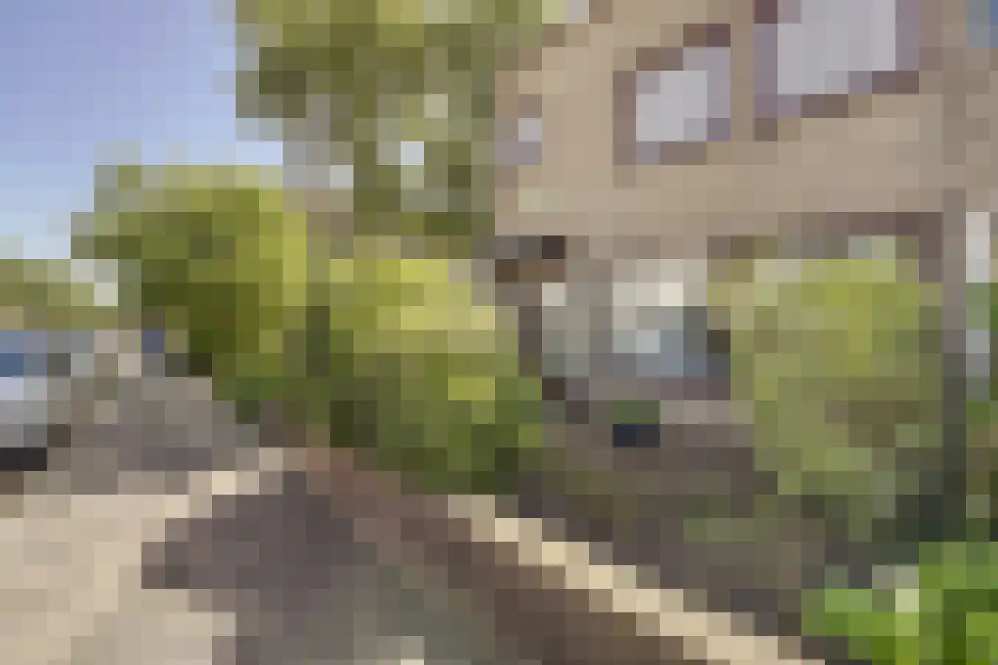 Nassaulaan 33 Rijnsburg thumbnail 35