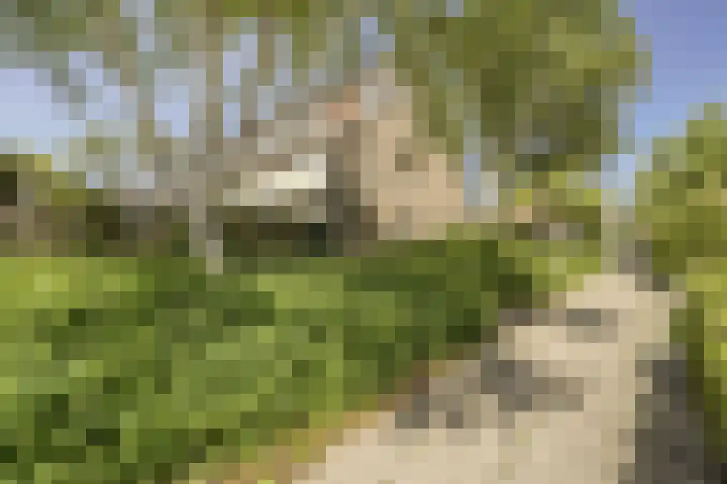 Nassaulaan 33 Rijnsburg thumbnail 37