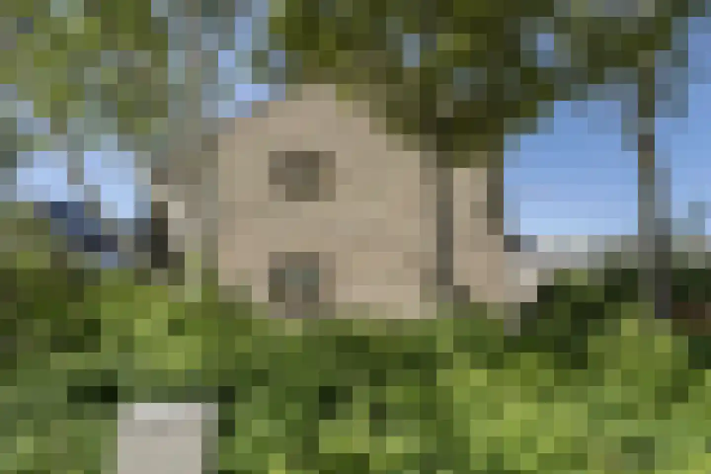 Nassaulaan 33 Rijnsburg thumbnail 38