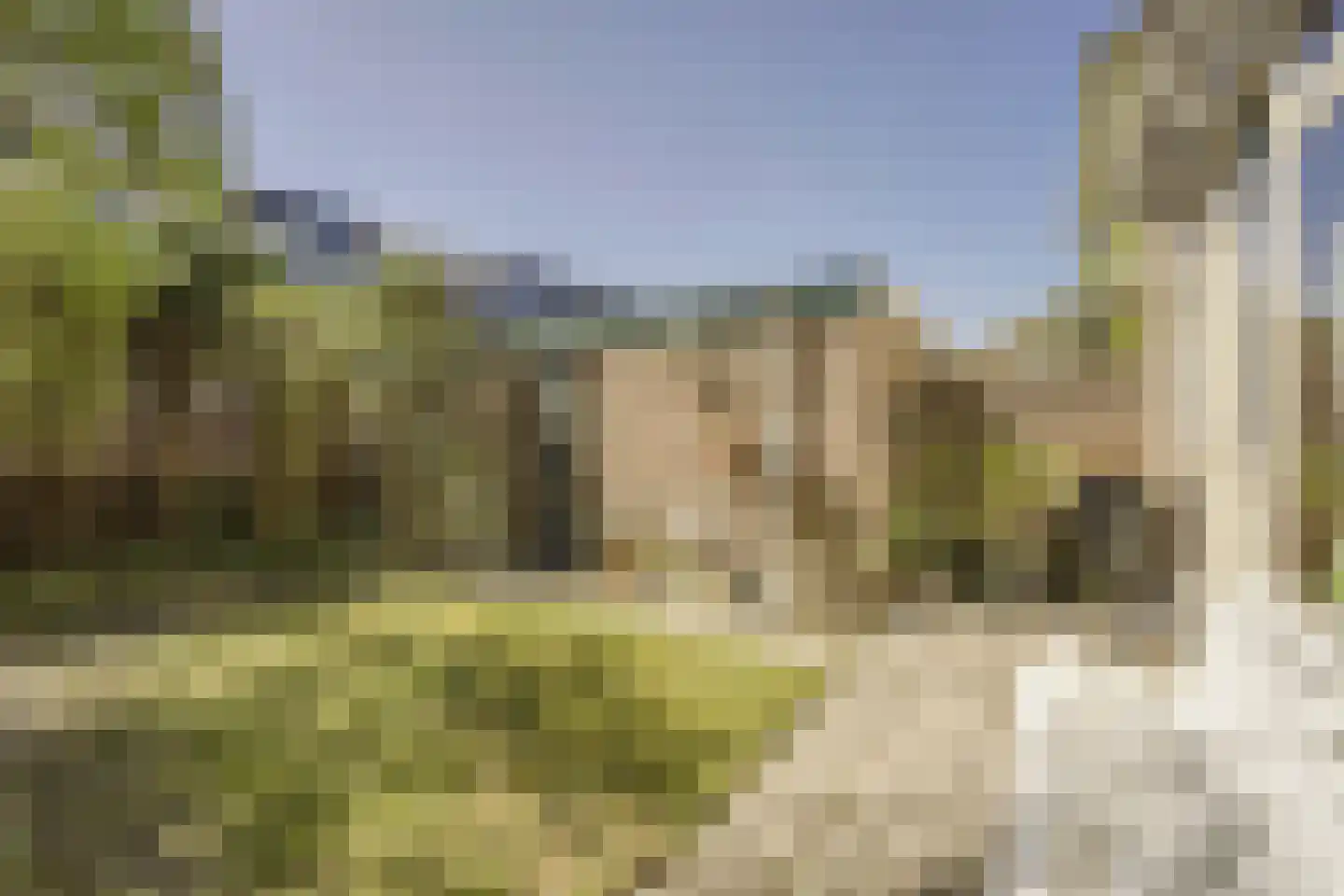 Nassaulaan 33 Rijnsburg thumbnail 4