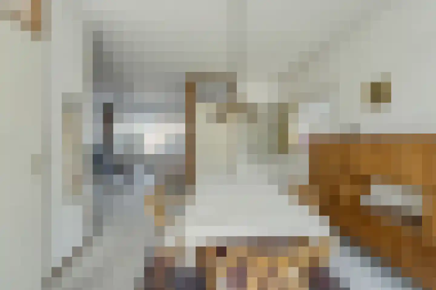 Nassaulaan 33 Rijnsburg thumbnail 6