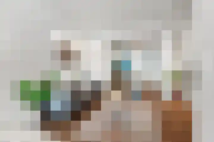 Nassaulaan 34 Haarlem thumbnail 18
