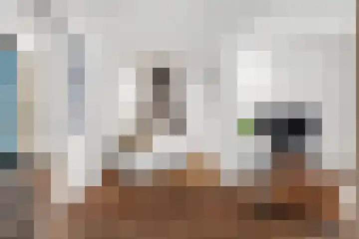 Nassaulaan 34 Haarlem thumbnail 22