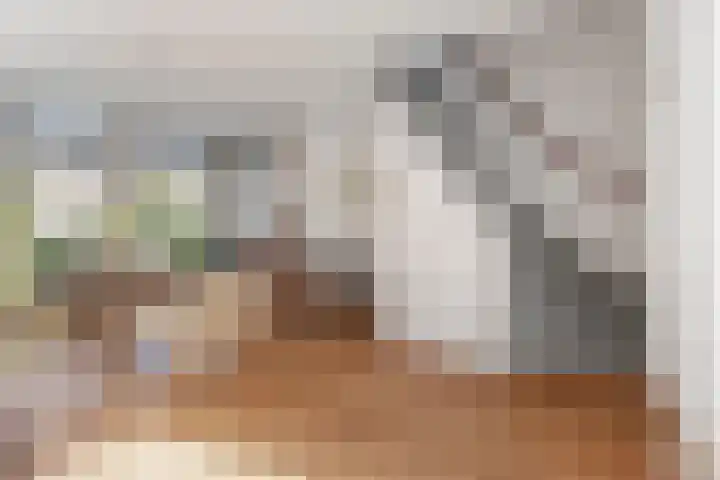 Nassaulaan 34 Haarlem thumbnail 32