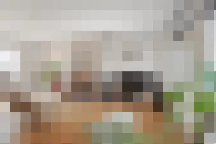 Nassaulaan 34 Haarlem thumbnail 39