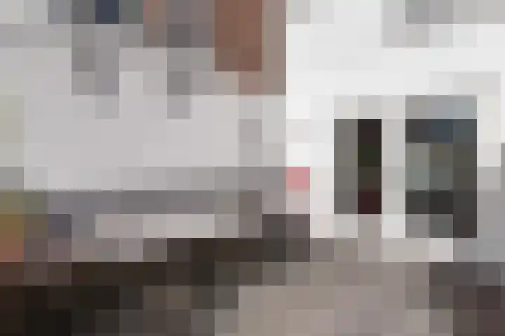 Nassaulaan 34 Haarlem thumbnail 50