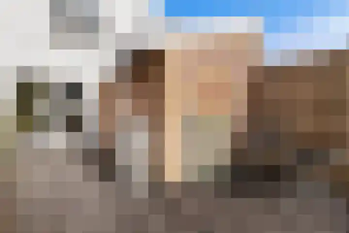 Nassaulaan 34 Haarlem thumbnail 52