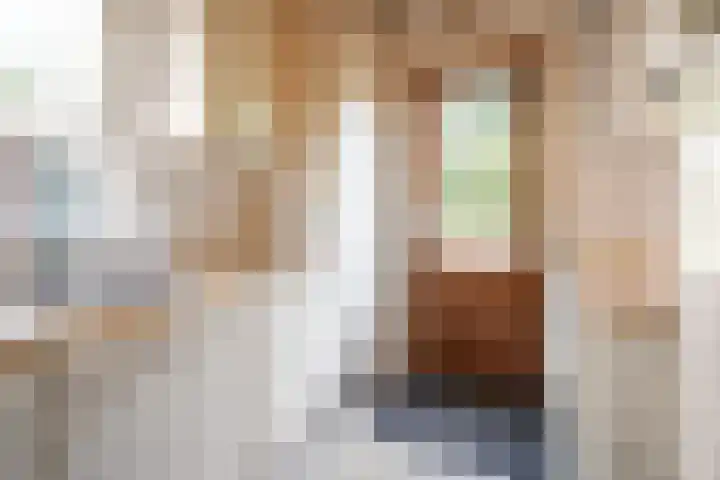 Nassaulaan 35 Oosterbeek thumbnail 12
