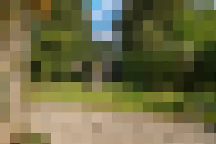 Nassaulaan 35 Oosterbeek thumbnail 25