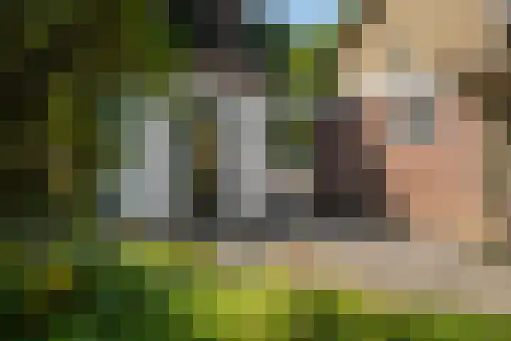 Nassaulaan 35 Oosterbeek thumbnail 26