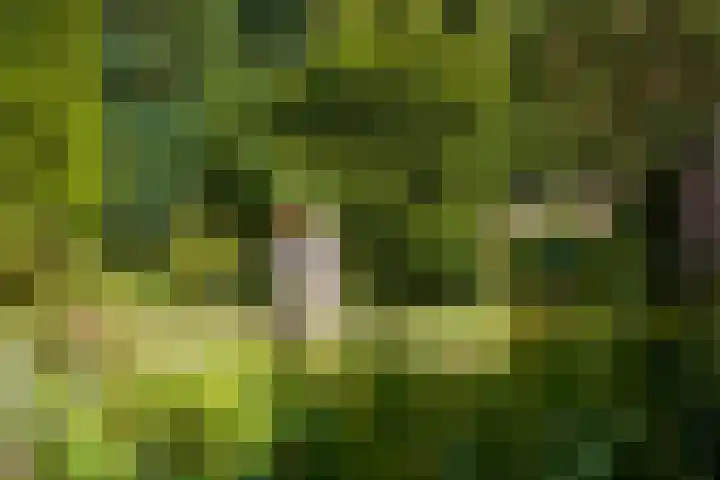 Nassaulaan 35 Oosterbeek thumbnail 27