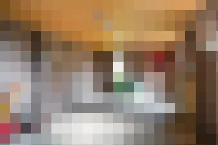 Nassaulaan 35 Oosterbeek thumbnail 28