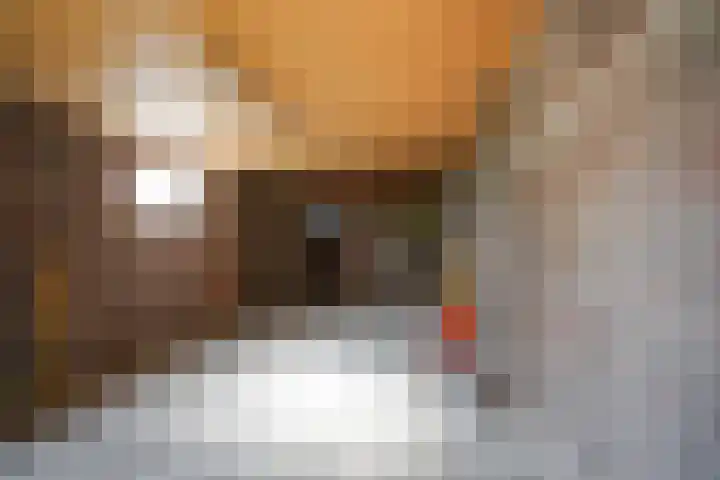 Nassaulaan 35 Oosterbeek thumbnail 29