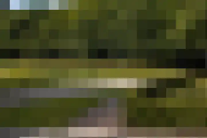 Nassaulaan 35 Oosterbeek thumbnail 30
