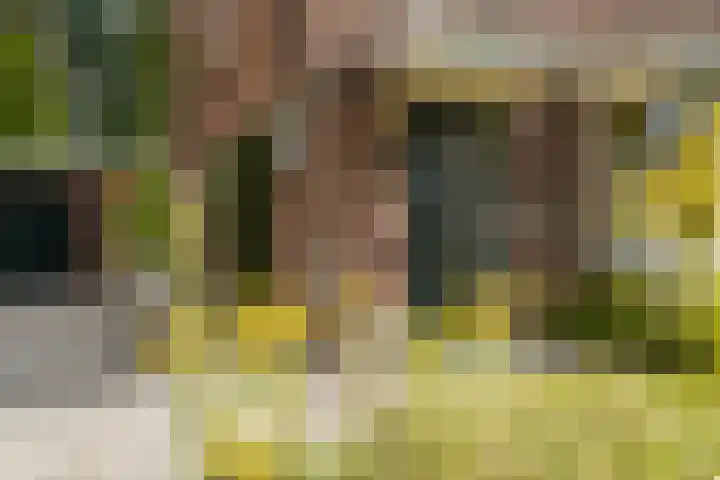 Nassaulaan 35 Oosterbeek thumbnail 5