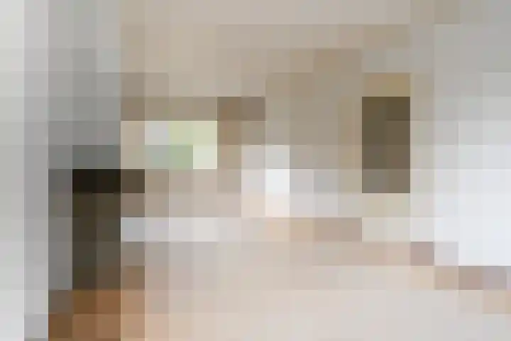 Nassaulaan 35 Oosterbeek thumbnail 8