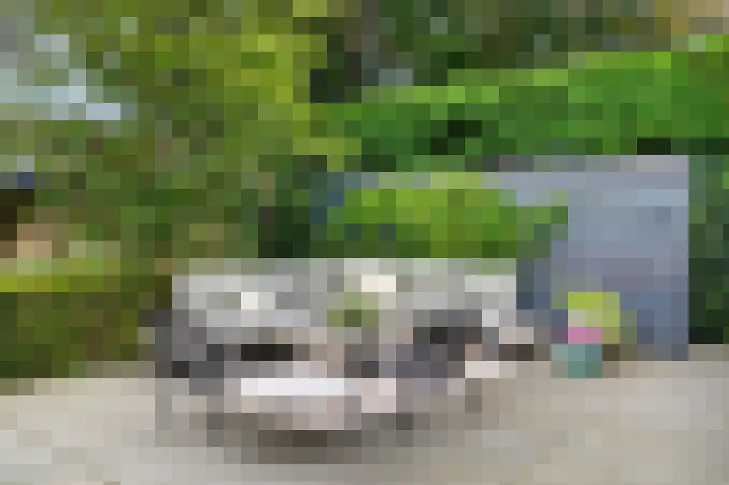 Nassaulaan 36 A Baarn thumbnail 48