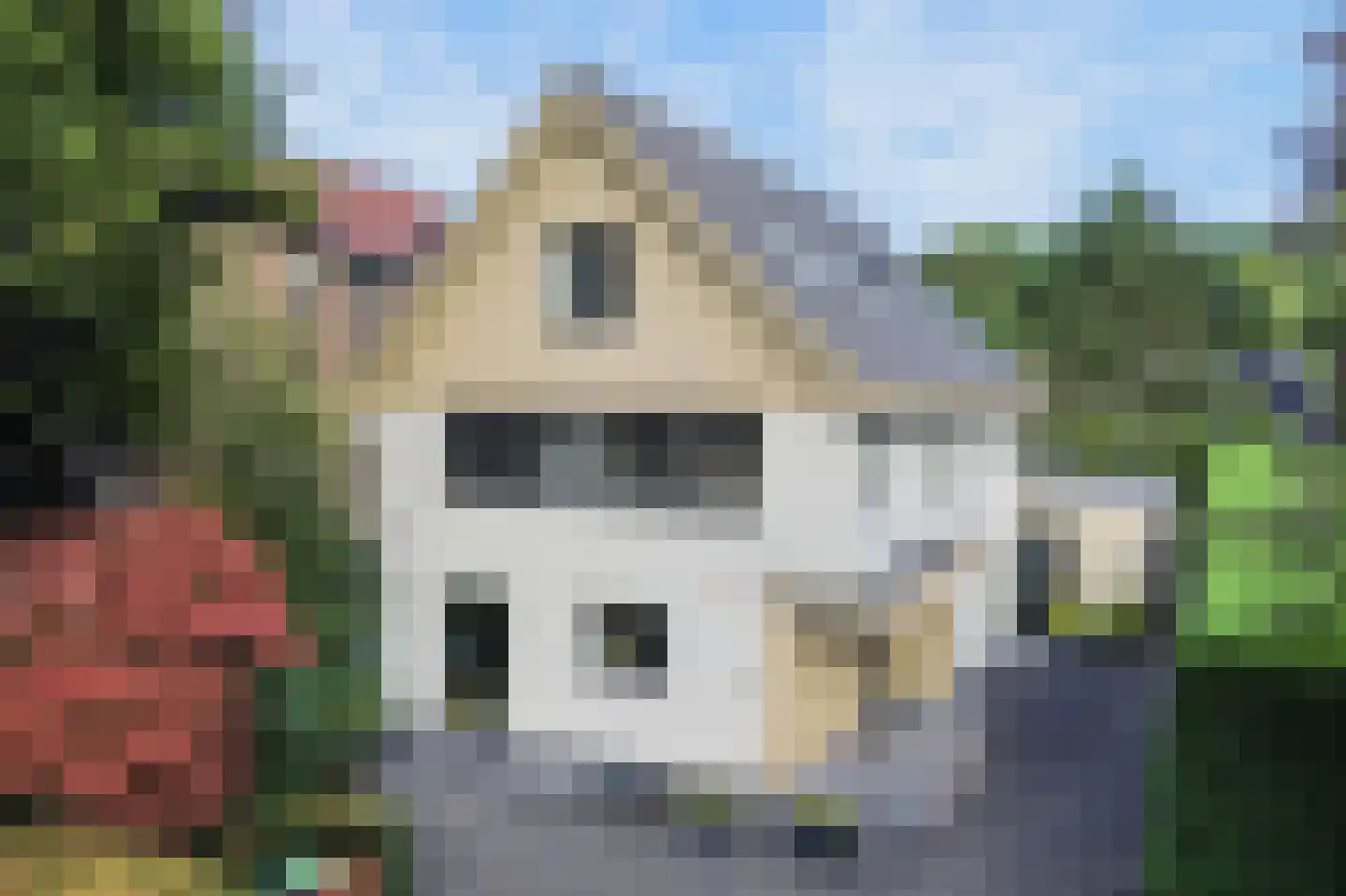 Nassaulaan 36 A Baarn thumbnail 6