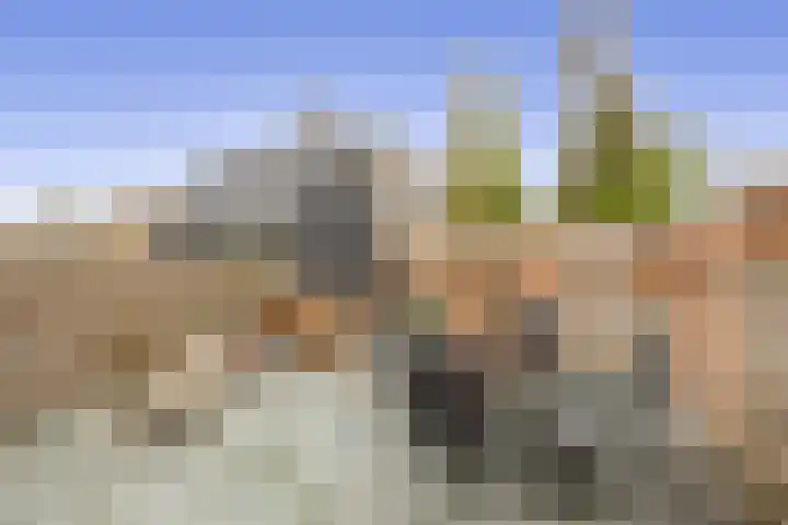 Nassaulaan 36 Waddinxveen thumbnail 15