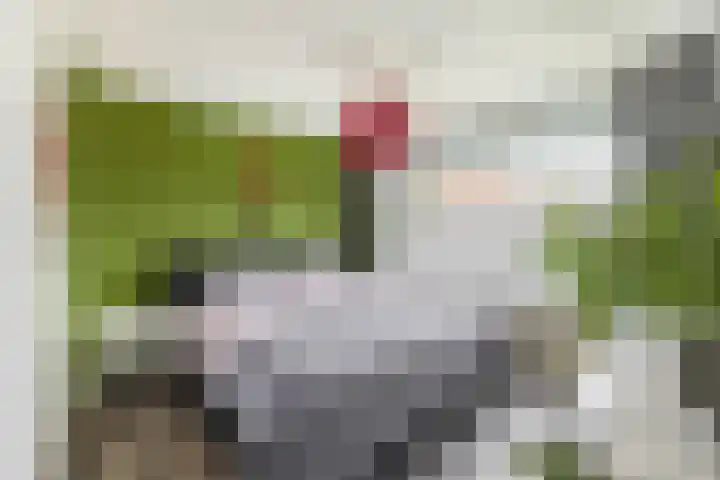 Nassaulaan 36 Waddinxveen thumbnail 19