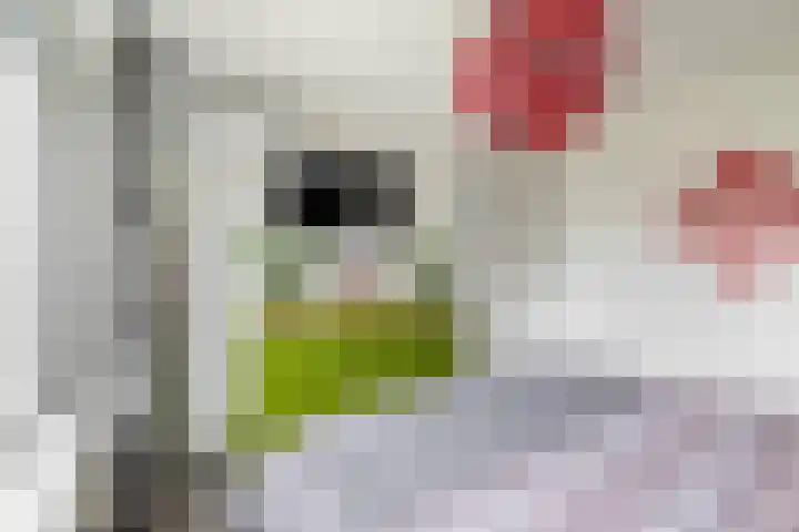 Nassaulaan 36 Waddinxveen thumbnail 20