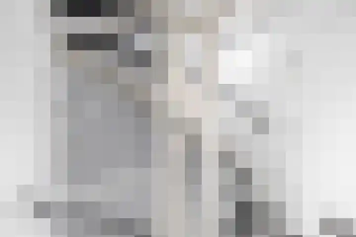 Nassaulaan 36 Waddinxveen thumbnail 23