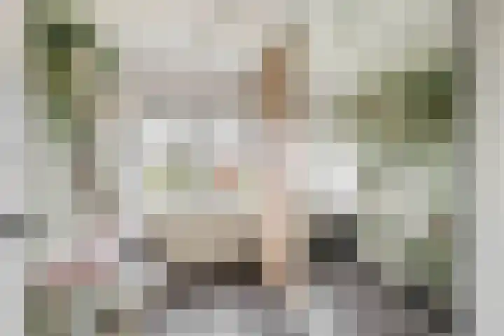 Nassaulaan 36 Waddinxveen thumbnail 24