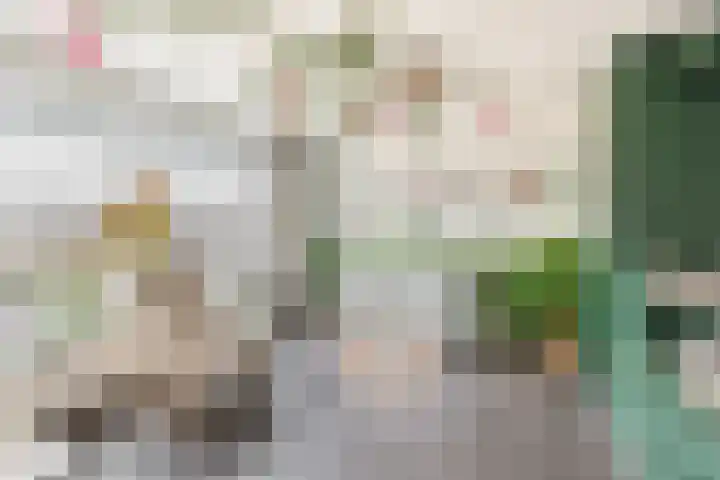Nassaulaan 36 Waddinxveen thumbnail 25