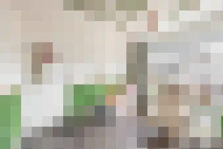 Nassaulaan 36 Waddinxveen thumbnail 26