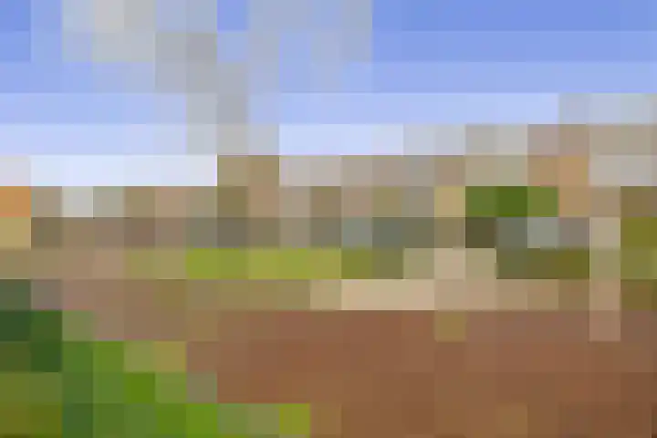 Nassaulaan 36 Waddinxveen thumbnail 33