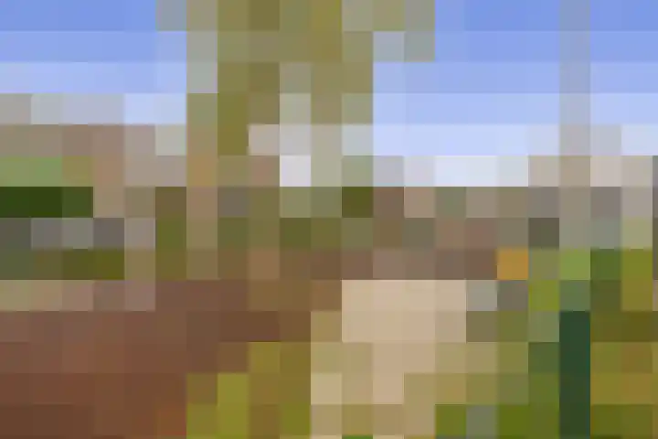 Nassaulaan 36 Waddinxveen thumbnail 34
