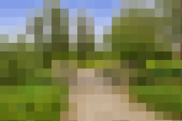 Nassaulaan 36 Waddinxveen thumbnail 35