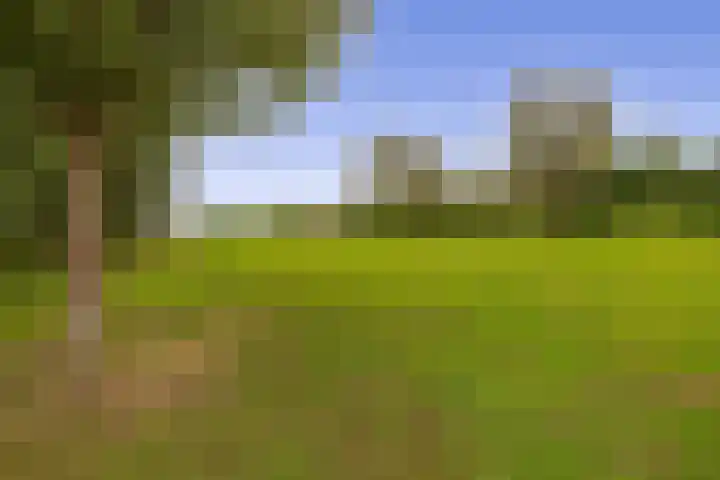 Nassaulaan 36 Waddinxveen thumbnail 36