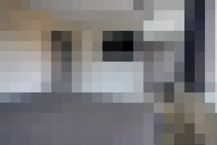 Nassaulaan 37 Baarle-Nassau thumbnail 30