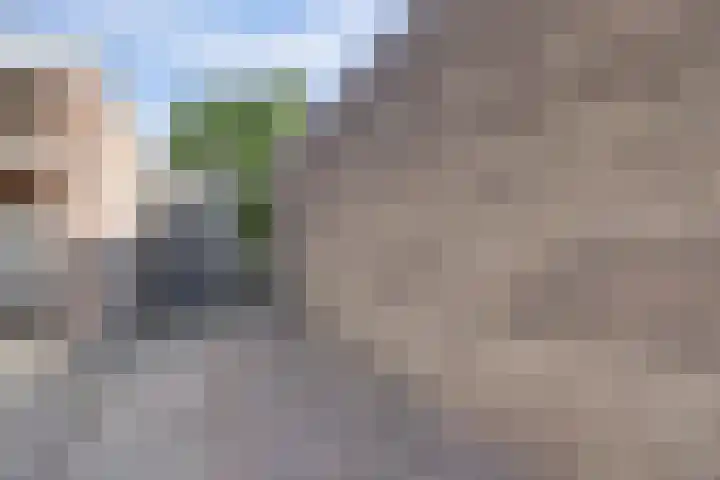 Nassaulaan 37 Baarle-Nassau thumbnail 47