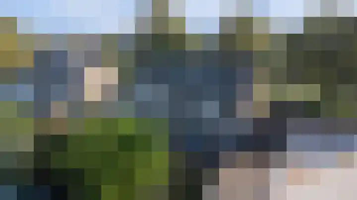 Nassaulaan 37 Baarle-Nassau thumbnail 49