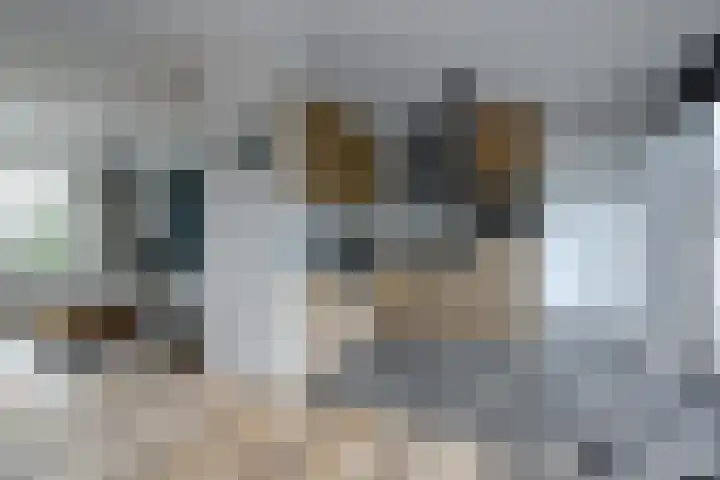 Nassaulaan 37 Baarle-Nassau thumbnail 5