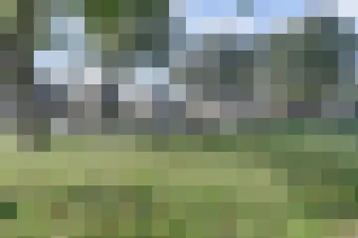 Nassaulaan 37 Baarle-Nassau thumbnail 50