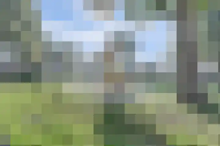 Nassaulaan 37 Baarle-Nassau thumbnail 51