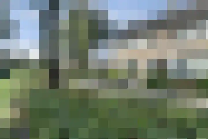 Nassaulaan 37 Baarle-Nassau thumbnail 55