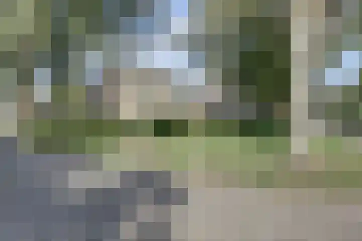 Nassaulaan 37 Baarle-Nassau thumbnail 56