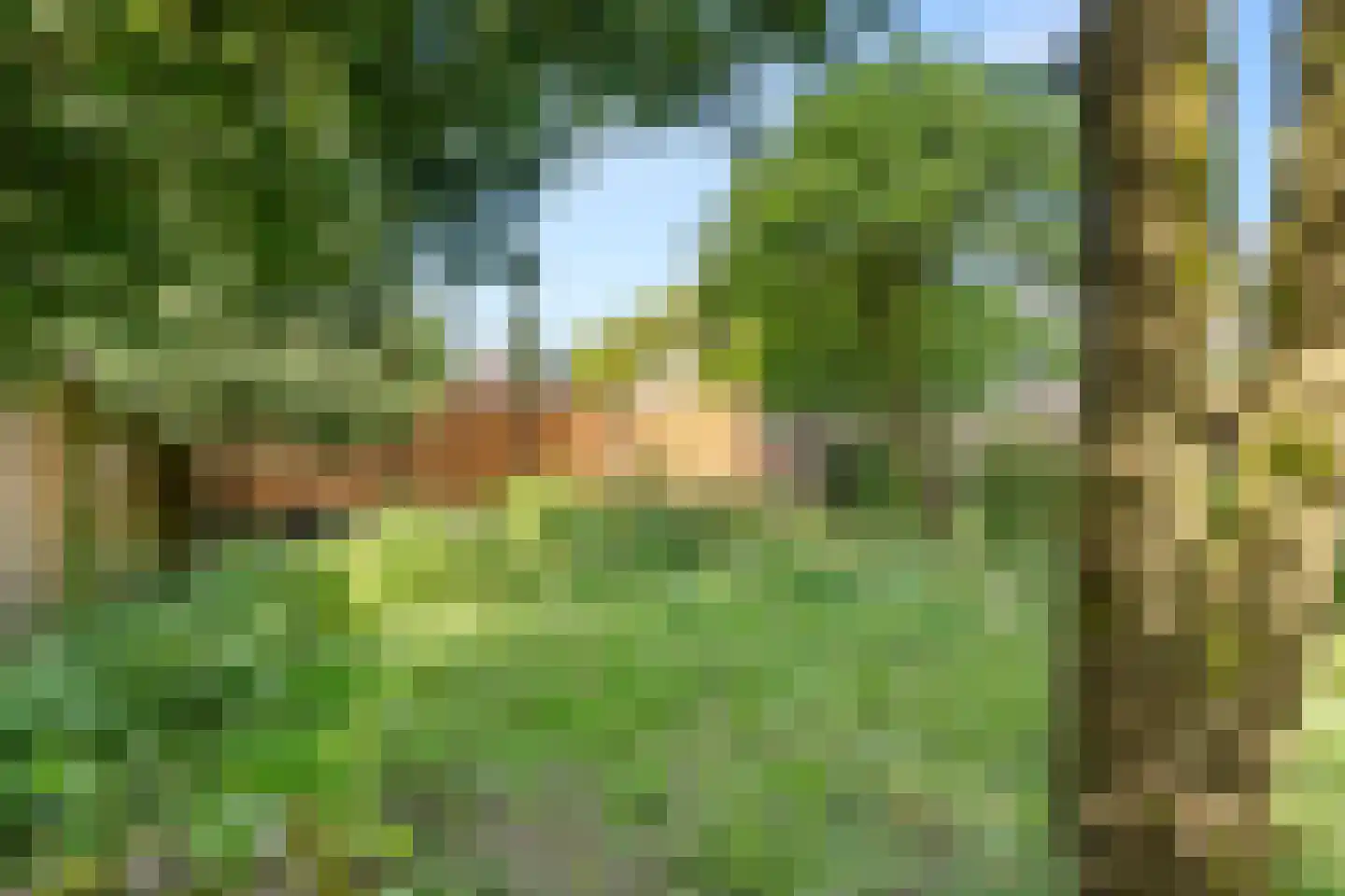 Nassaulaan 4 Bennekom thumbnail 11